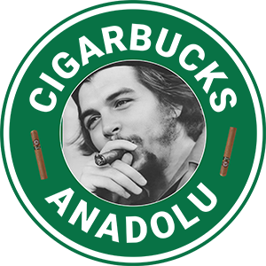 logo-1